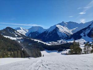 Mehr über den Artikel erfahren Wintersport-Tagesausflug 2024 nach Berwang