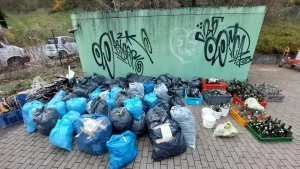 Mehr über den Artikel erfahren Cleanup 2025